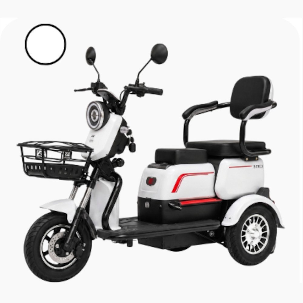 Autopropelido T-Bike T-Rex 2000W