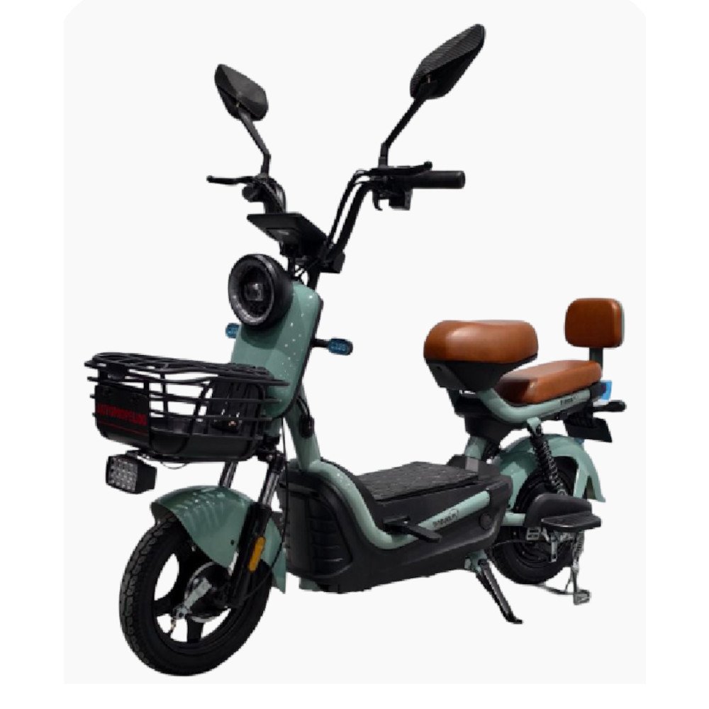 Propelido T-Bike Modelo T1000
